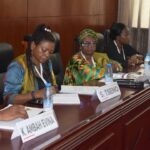 Francophone Africa, own your HIV/AIDS programmes-HCWG recommends
