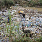 Environmentalist invents app to clean up Cameroon’s polluted rivers