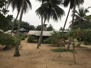 Participatory monitoring breathes life into Cameroon MPA—yet challenges abound