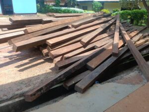 Combating environmental crimes: WWF, partners unite to strengthen protection for civil society organizations