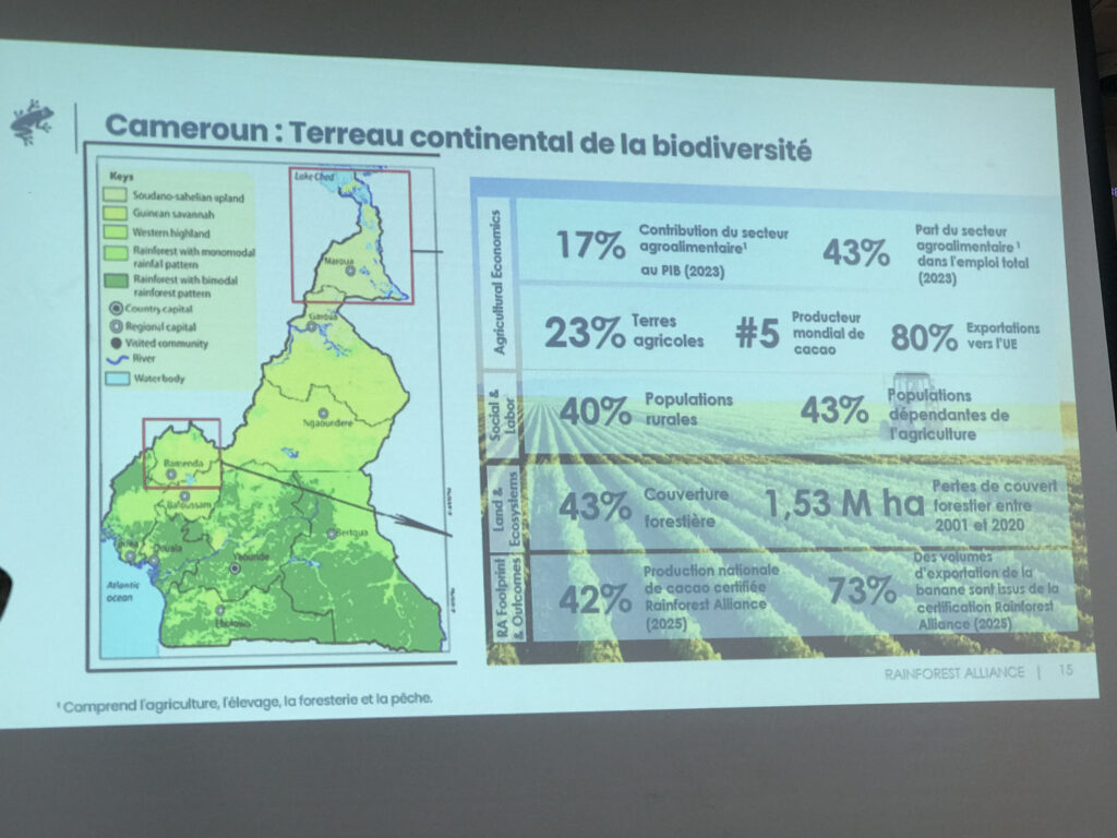 Progress in Cameroon