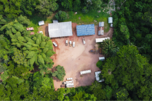 Congo Basin gives hope despite nature loss – WWF Living Planet Report 2026