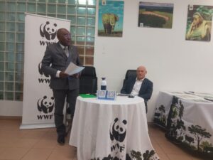Despite global gloom, wildlife is recovering in Cameroon