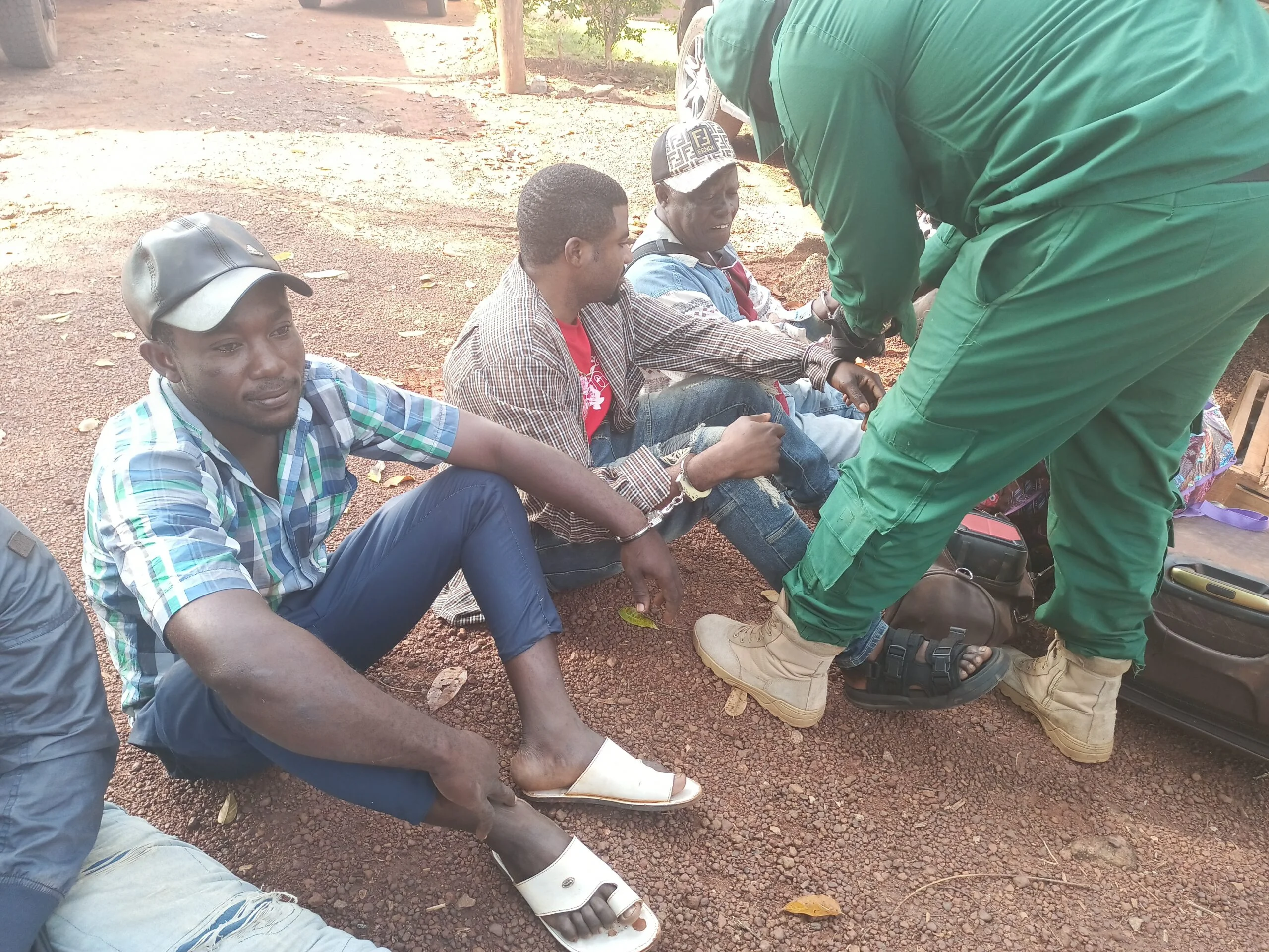 Arrests in Cameroon