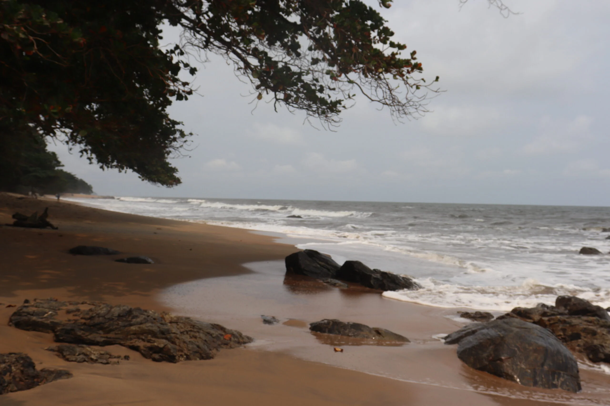 Our Ocean Conference: Cameroon, other countries commit to fisheries transparency and to combat IUU fishing